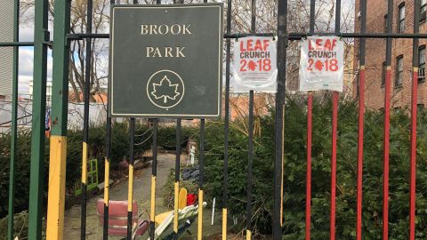 Parque en Mott Haven, El Bronx, NYC/Archivo.