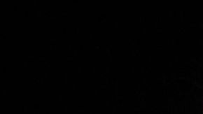 Johnny Depp y Amber Heard