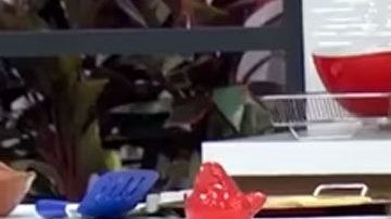 Andrea Legarreta en "Hoy"