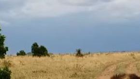 Por eso jamás debes perturbar el sueño de nadie.