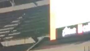 Los dos aficionados del León que se hicieron virales.