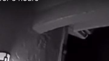 Hay quien toca el tiembre y... hay quien lame el timbre.