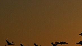 El amor y la astrología.