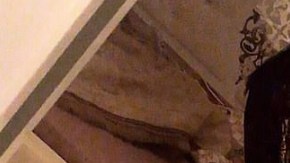 La serbia Jelica S., de 23 años, resultó convicta esta semana.