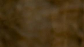 El cocodrilo emergió de las aguas.