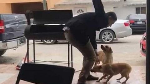 El sujeto apuñaló a perro y causó indignación.