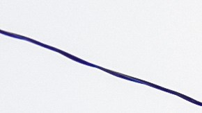 Policía de Nassau, Long Island (NY).