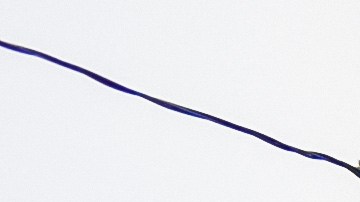 Policía de Nassau, Long Island (NY).