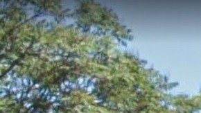 El crimen ocurrió cerca de la calle 139 en Briarwood