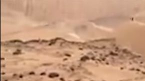 El piloto ruso Andrey Karginov atropelló con su camión a un espectador