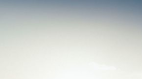 La raptor regresa después de años de ausencia, como muchos otros autos