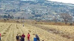 Sigue el saqueo de gasolina en México.