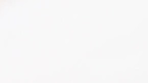 sandwich vegetariano