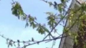 Una de las casas en venta por $1 dólar.