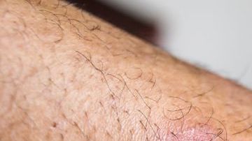 shutterstock_1111137269