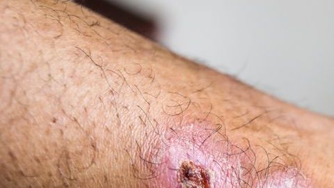 shutterstock_1111137269