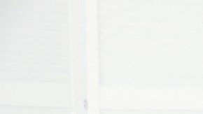 shutterstock_1121971607