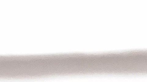 El dátil es uno de los frutos más antiguos del mundo (3,000 a.C).