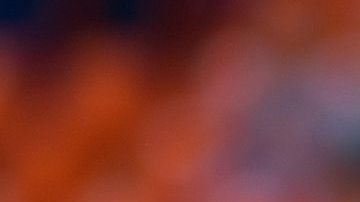 shutterstock_1186925677