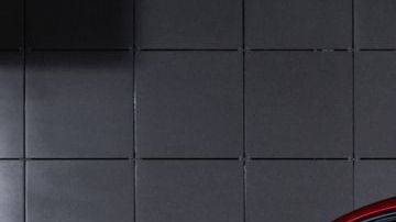 shutterstock_1231939189