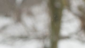 shutterstock_125509616
