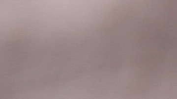 shutterstock_225173110