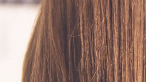 Más de un kilo de pelo le fue encontrado en su sistema digestivo.
