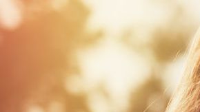 Dar paso por paso te ayudará a concretar tus metas.