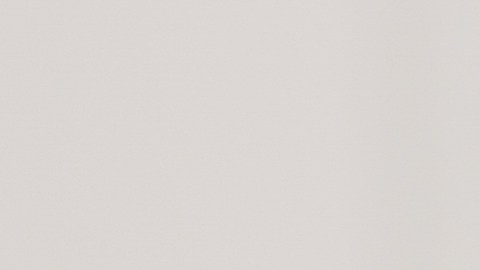 shutterstock_530978797