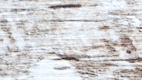 shutterstock_704350660