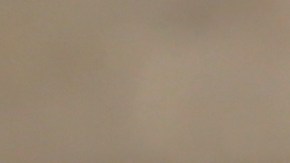 shutterstock_769636327