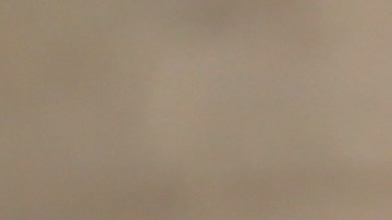 shutterstock_769636327