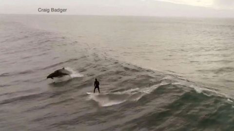 Imágenes capturadas en Ventura, California.