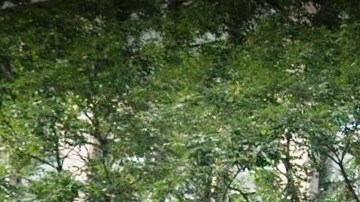 Operaba desde The Continental, rascacielos en 885 6ta Avenida