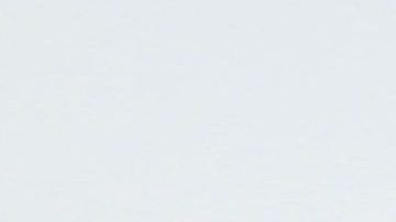 Según el abogados de los trabajadores el club conocía hace años su estatus migratorio