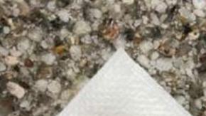 022019-big-tooth-1280x720