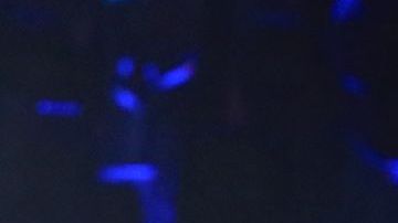 Alejandro Fernández