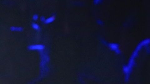 Alejandro Fernández