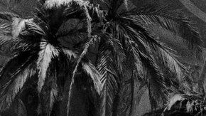 105345953_gettyimages-569184425