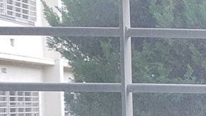 Cada vez más japoneses mayores de 65 años cometen delitos.