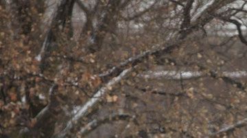 ¿Cuáles son las ventajas que hacen a Canadá tan llamativo?