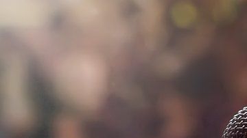 105473219_gettyimages-516691574