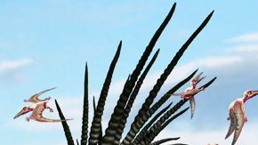 105532362_bajadasaurus1