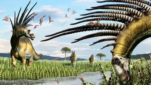 105532362_bajadasaurus1