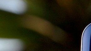 105780371_mediaitem105773923