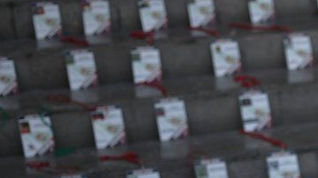 Cerca de 150 periodistas han sido asesinados en México desde 2000.