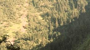 2019-colorado-masthead