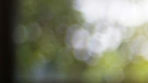 Horóscopo, Astrología, Signos del Zodiaco