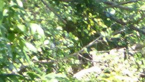 La laguna Dudú en Dominicana.