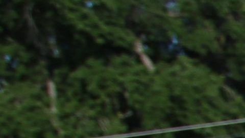 En Los Ángeles habitan mas de un millón de inmigrantes indocumentados